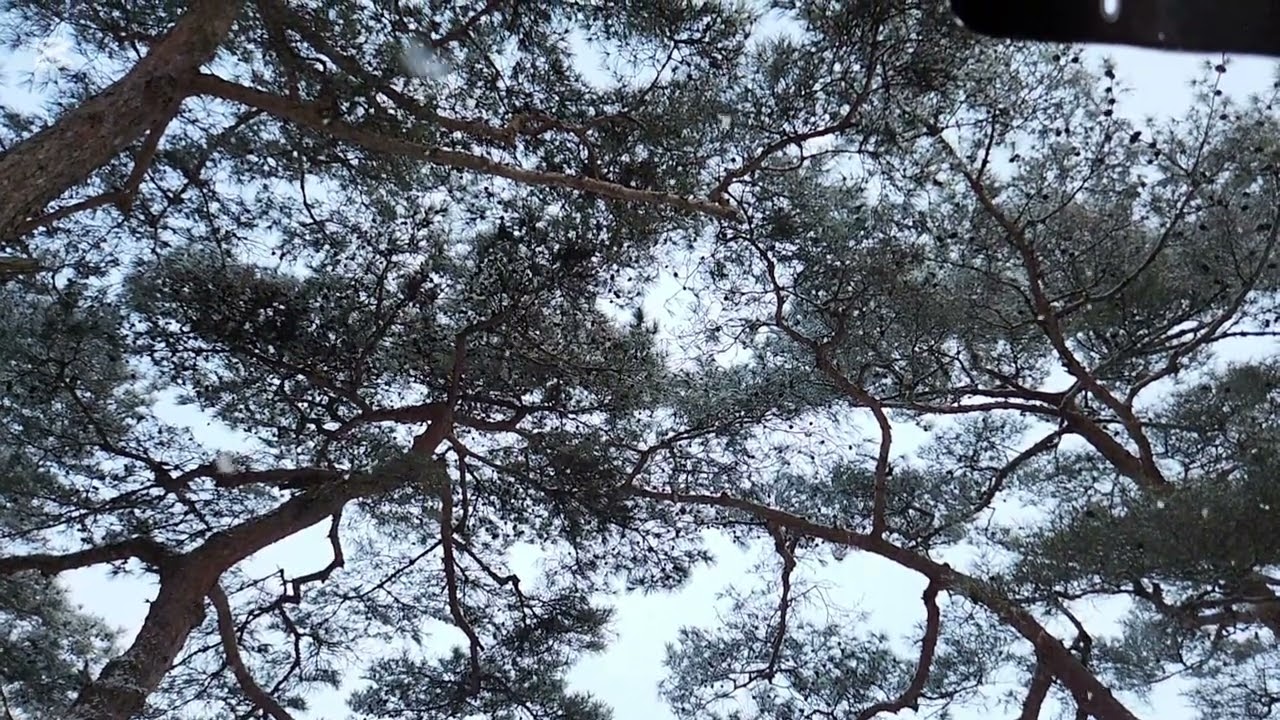 2026년 2월 16일
