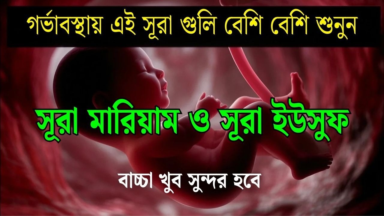 সূরা মারইয়াম ও সূরা ইউসূফ । র্গভাবস্থায় বেশি বেশি শুনুন ।surah marayam surah yousuf Alaa Aqel