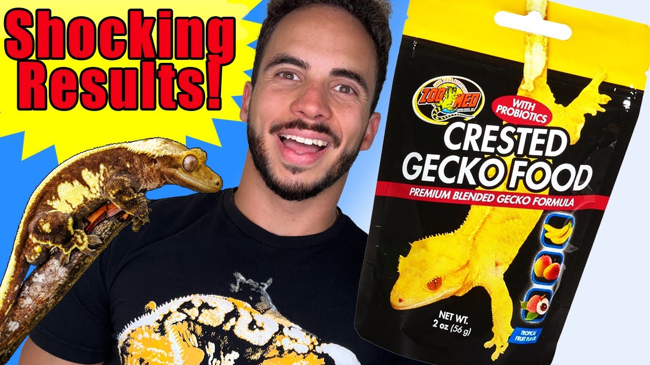 My Geckos Review Zoo Med's Crested Gecko Food!
