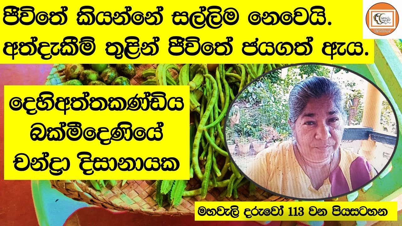 මහවැලි දරුවෝ - ජිවිතේ කියන්නේ සල්ලිම නෙවෙයි. දෙහිඅත්තකන්ඩිය බක්මිදෙනියේ චන්ද්‍රා දිසානායක.