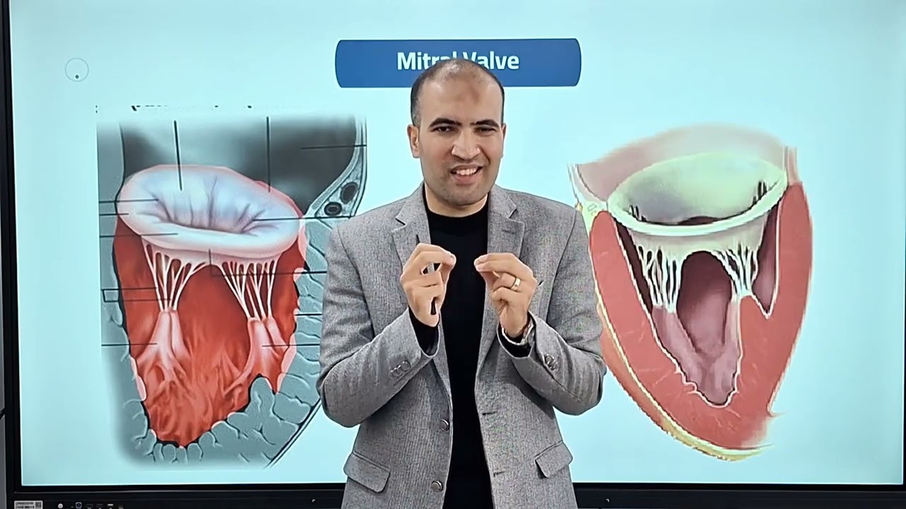 Lecture 2: lessons from the anatomy and function of heart valves