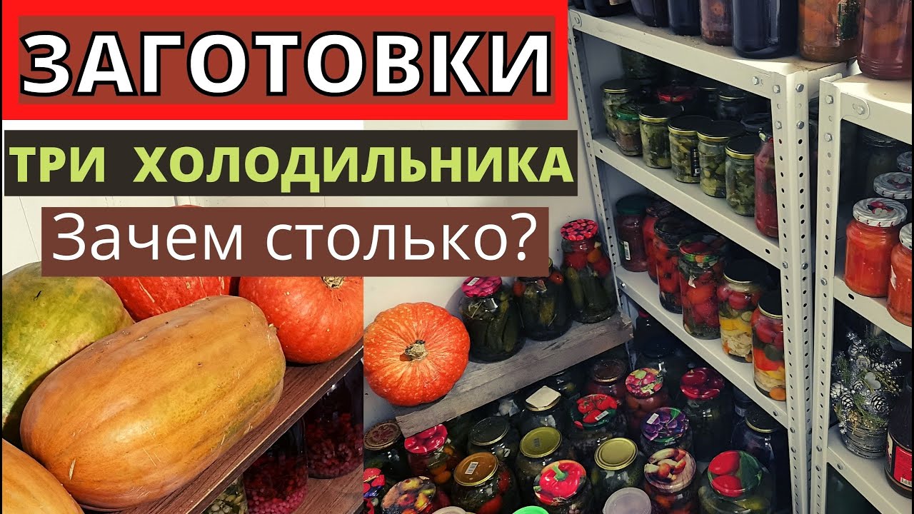 Три ХОЛОДИЛЬНИКА и ПОГРЕБ с заготовками. Зачем столько? Меняю местами