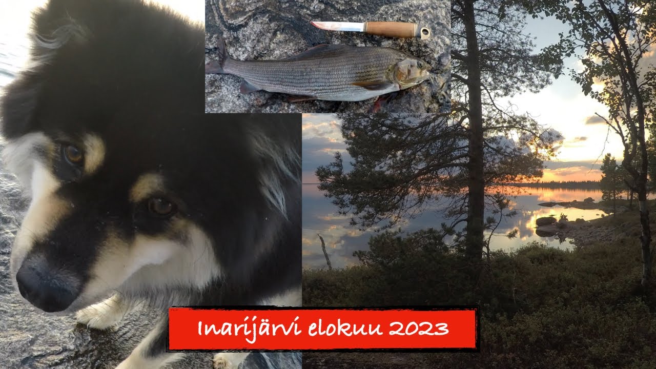 Inarijärvi elokuu 2023