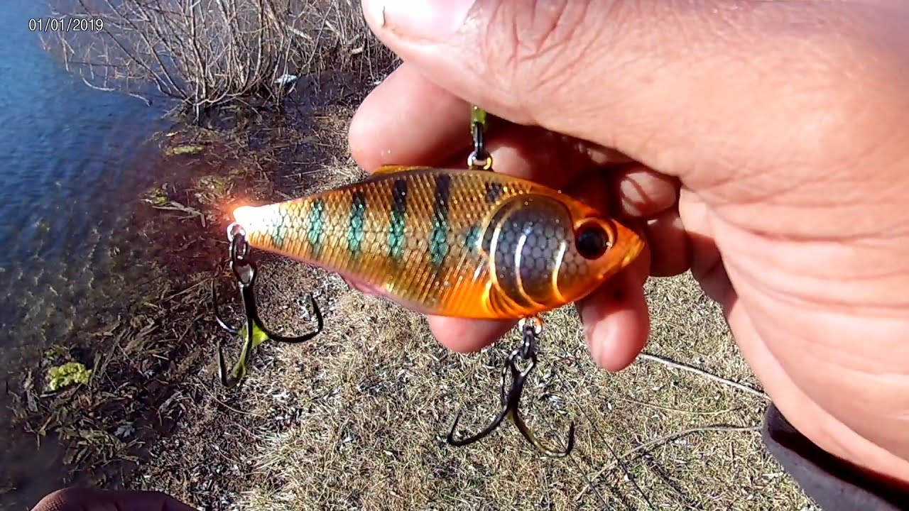 Spring Time Lipless Cranking!!!(6thSense Quake 70🔥🔥)
