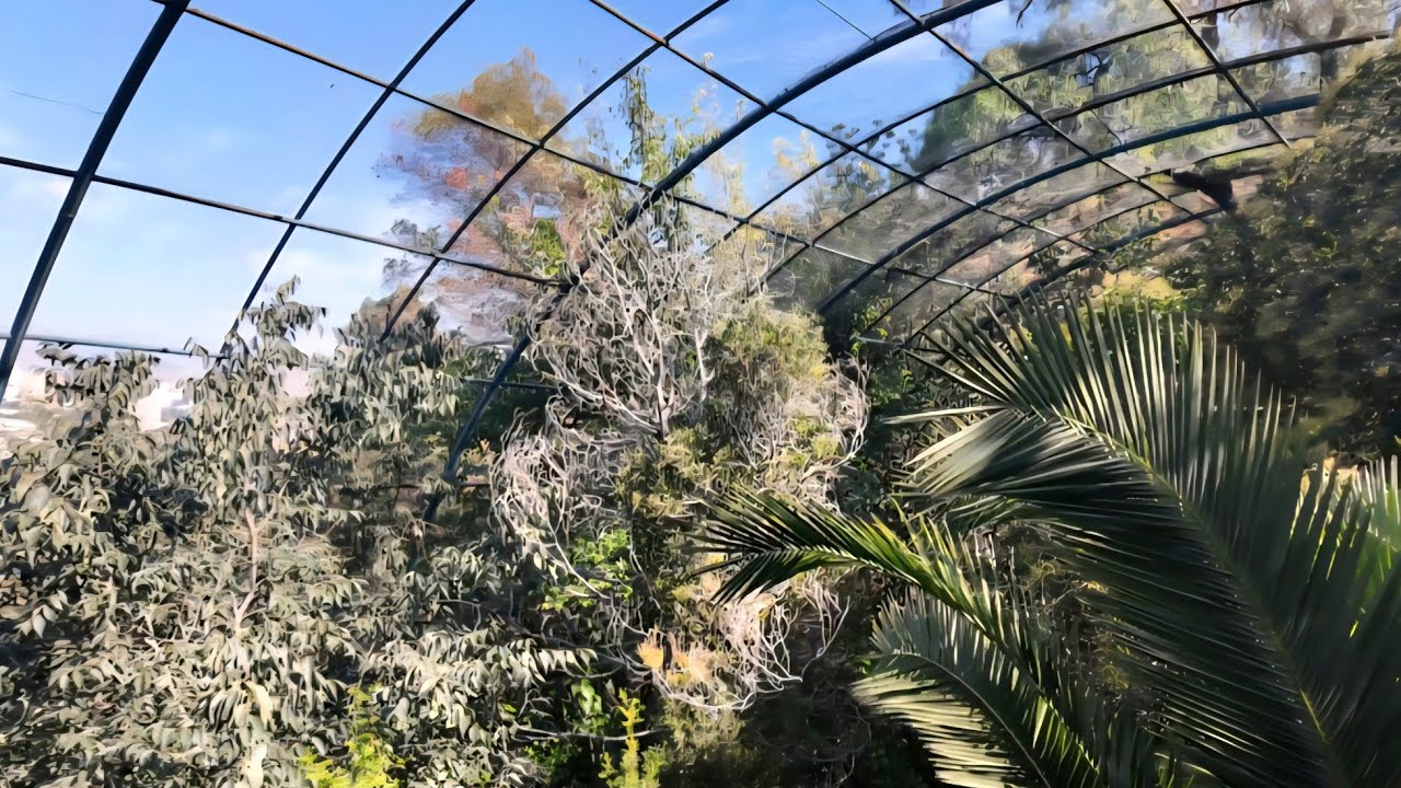 إحساس غريب وأنت داخل قفص الطيور بين الحيوانات 🦚Zoológico Metropolitano de Santiago