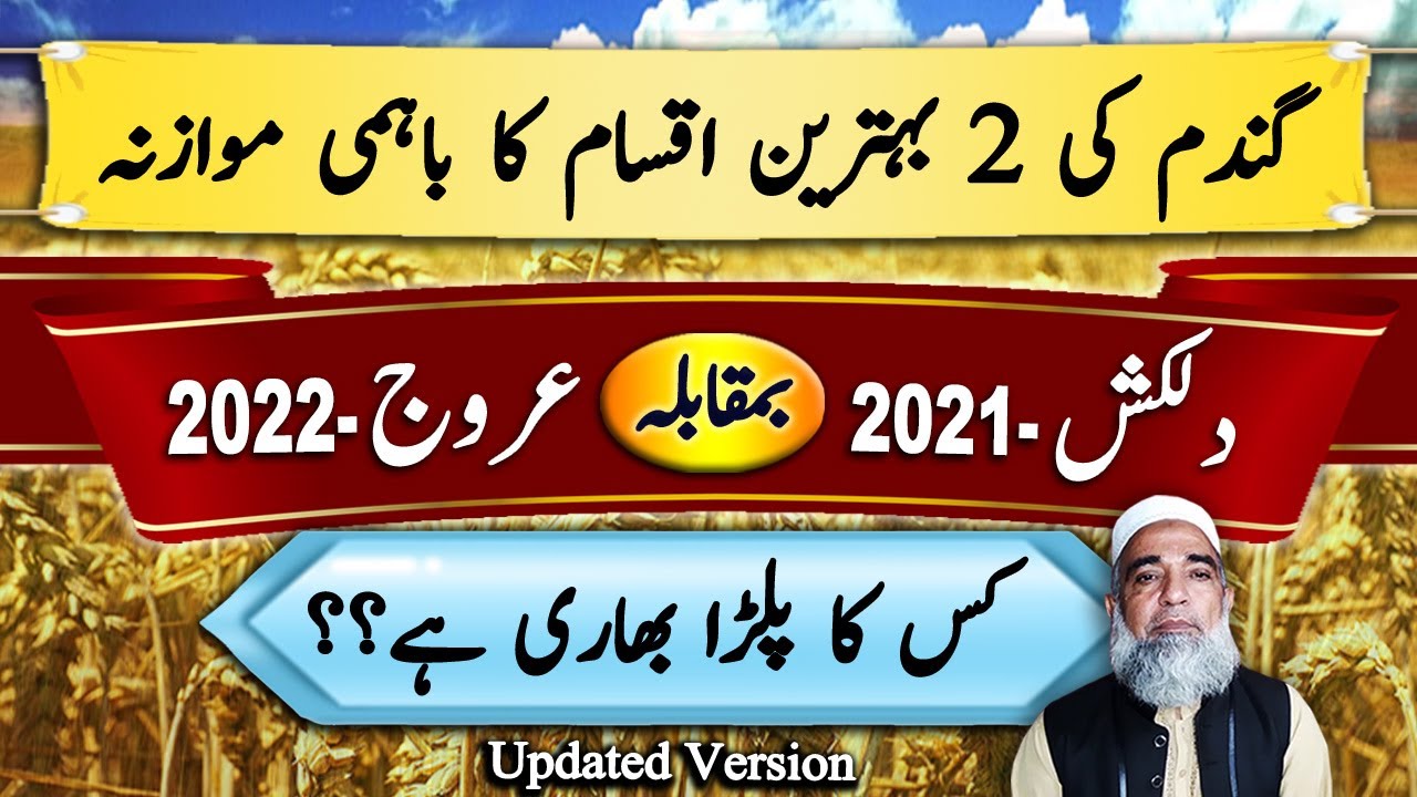Dilkash-2021 VS Arooj 2022 || Salient Features of Wheat Varieties || Crop Reforemr