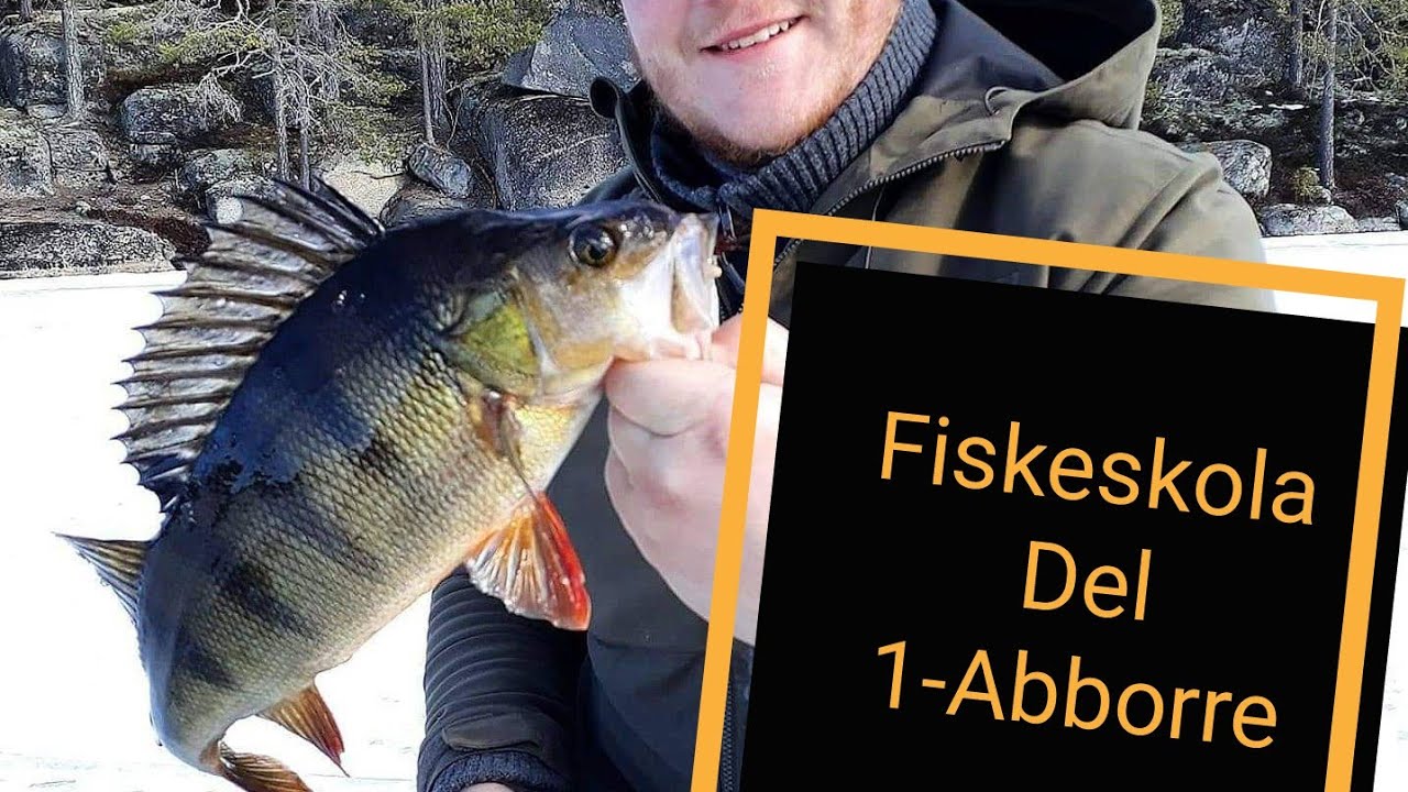 Fiskeskolan del 1. Abborrfiske.