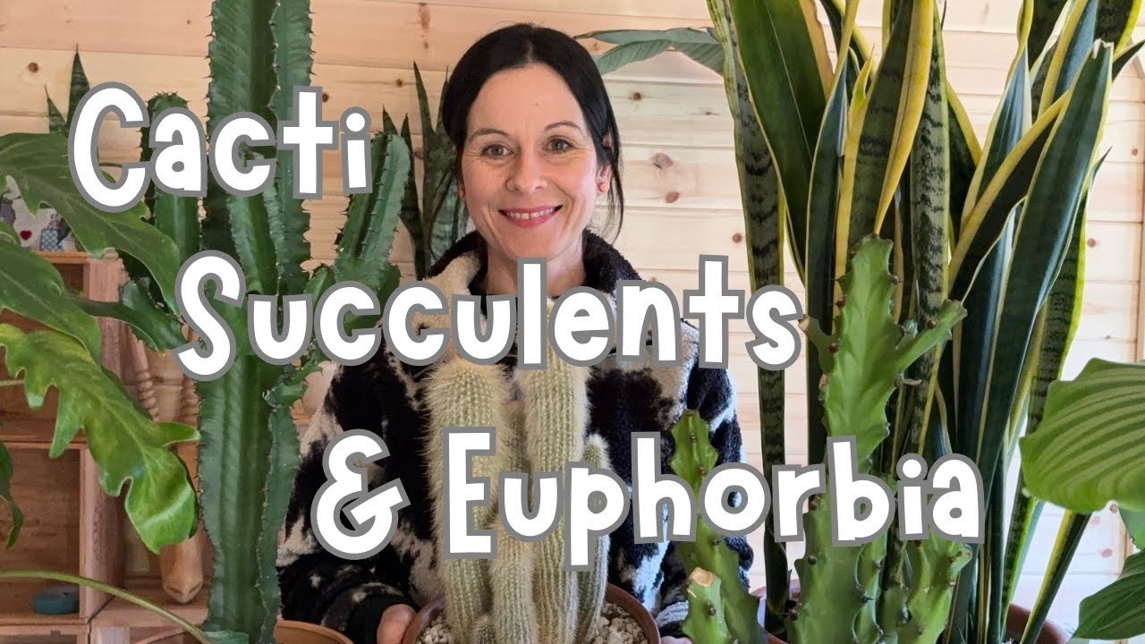 My Favourite Cacti, Succulents and Euphorbia In My Collection 🌵