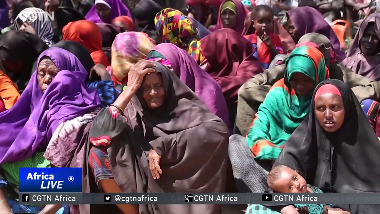 Gov't investigating heavy gunfire that killed 14 in Baidoa