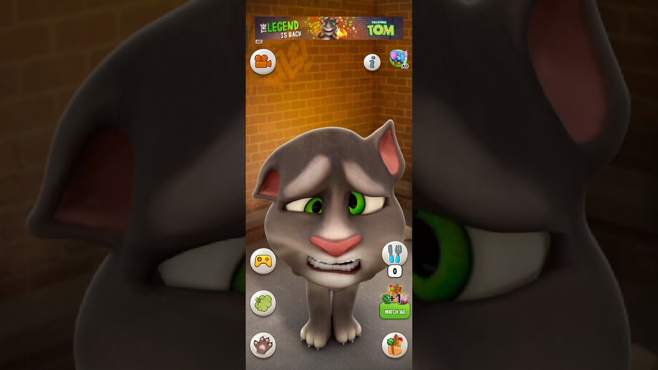 cat || #trendingshorts #viralshorts #youtubetrendingvideos #ytshort #cartoon #cat #comedyvideos