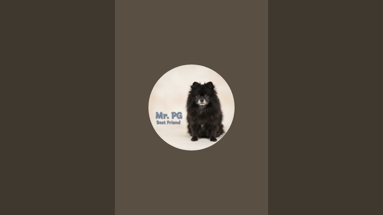 All You Need to Know About Dogs, Cats & Birds: Life, Love, and Amazing Stories”