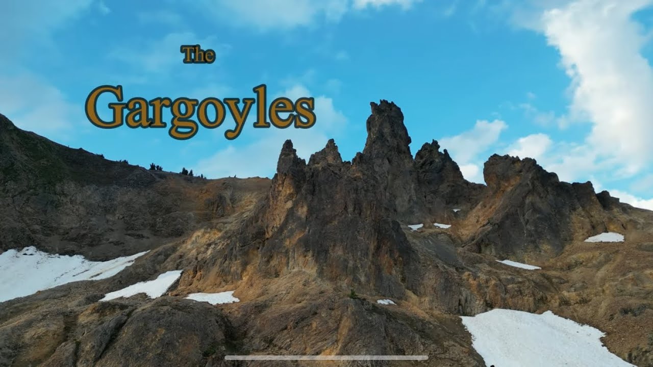 The Gargoyles