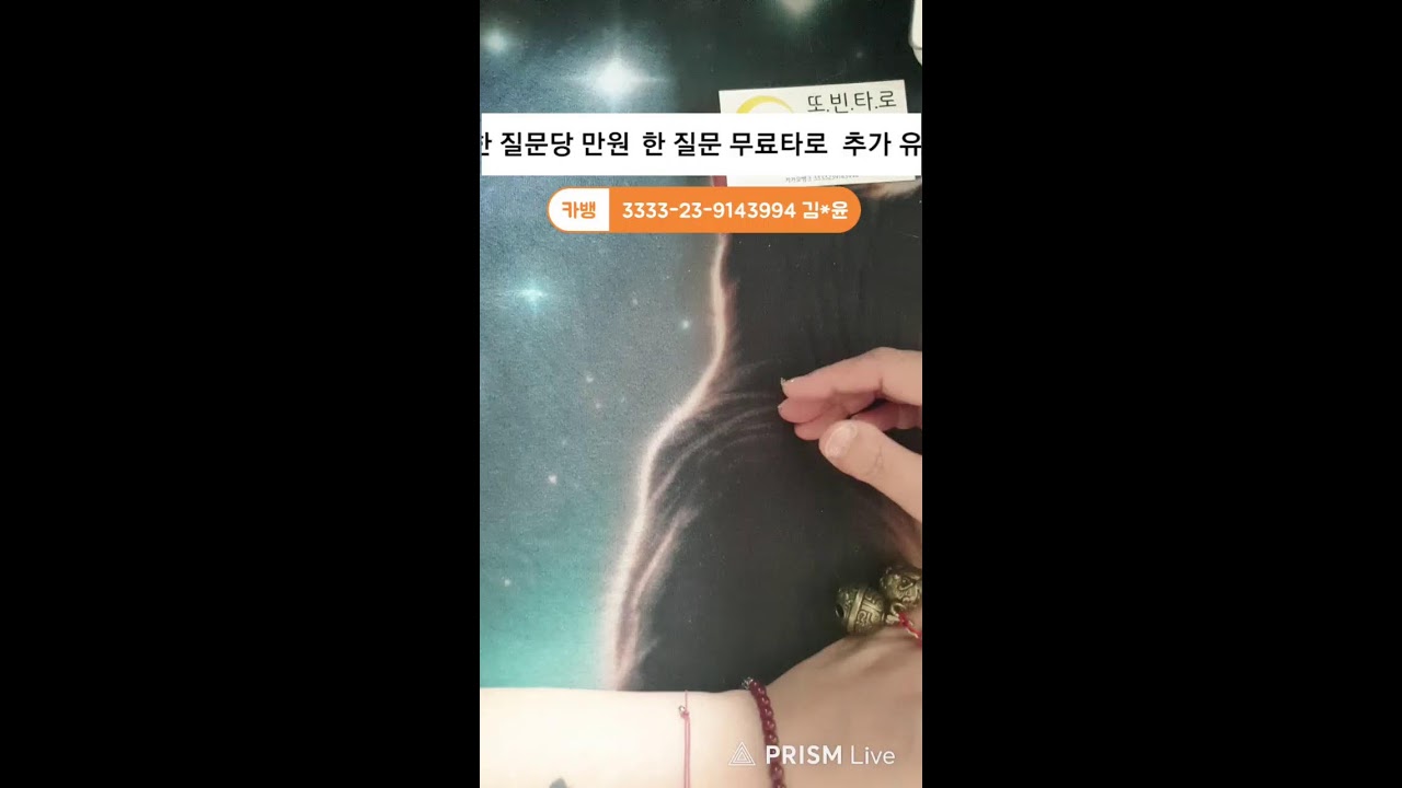 또빈또야땡&치치 무료타로