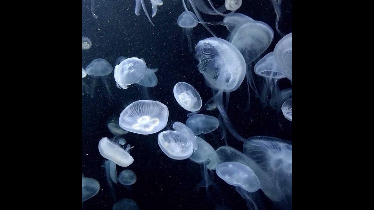 What Does Depression Felt Like.