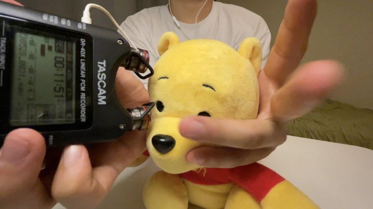 팅글 asmr .. 타스캠으로 푸 꾹꾹이 해주기
