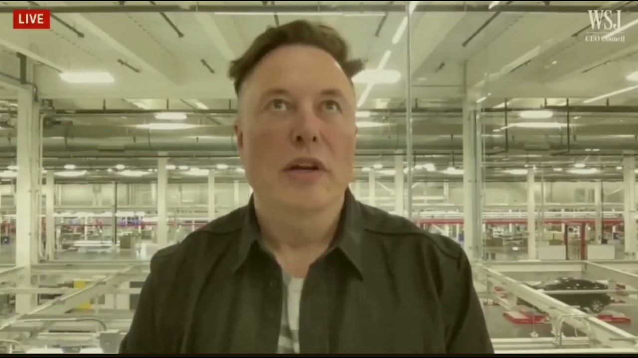 Elon Musk explains Government inefficiency and unaccountablility