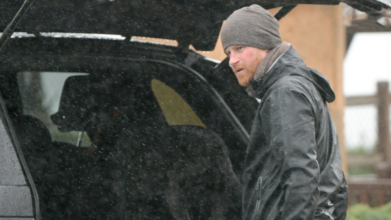 Prince Harry is mentally ‘very troubled’