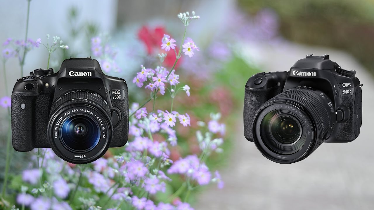 Canon 80D vs Canon 750D
