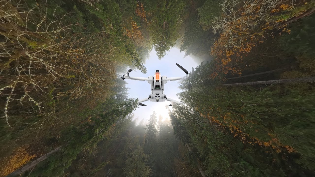Legacy Forest | Panoramic VR Flight | Antigravity A1