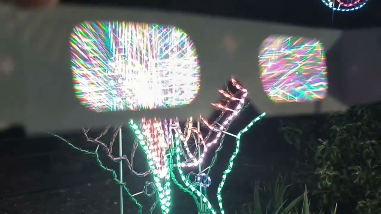 NOCHE MAJICA EN LAS LUCES DEL ZOOLÓGICO #Luces#caminata#animales#familia#divercion