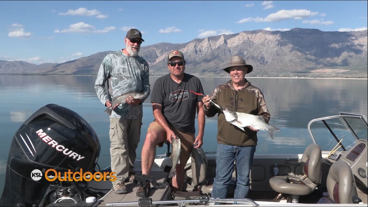 Trolling and Bottom-Bouncing for Walleye on Willard Bay