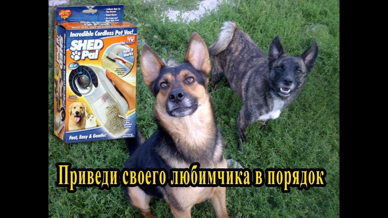 Устройство для расчесывания собак и кошек Shed Pal