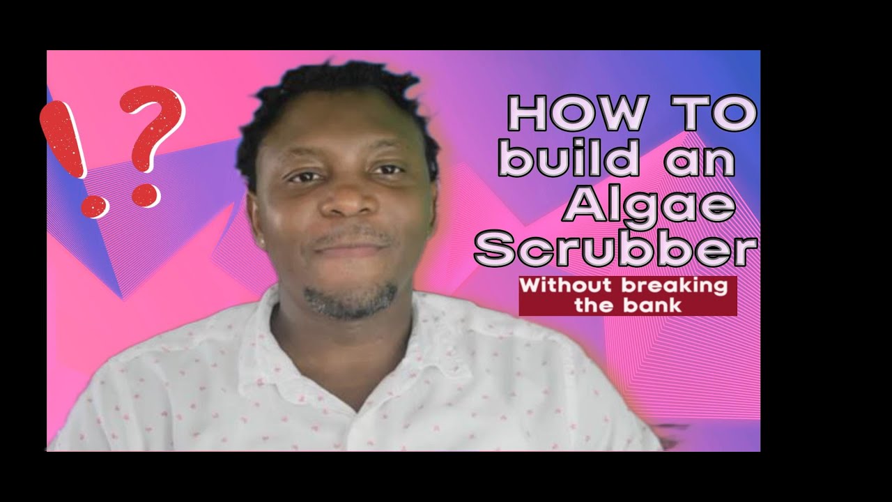 How to Build an Algae Scrubber without breaking the bank