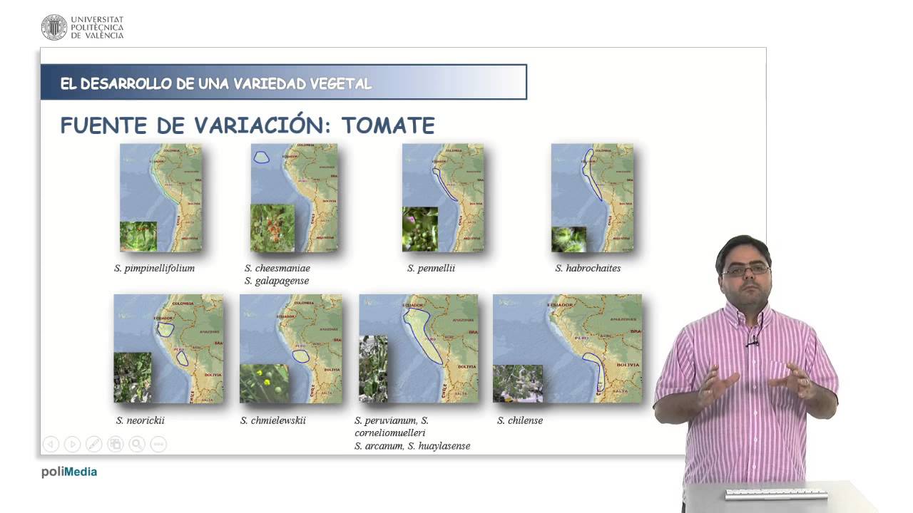 La importancia de la variacion en programas de mejora genetica vegetal | 7/28 | UPV