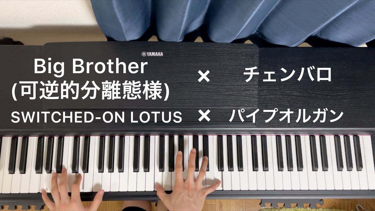 音を変えてみた (Big Brother - 可逆的分離態様×チェンバロ)(SWITCHED-ON LOTUS×パイプオルガン)