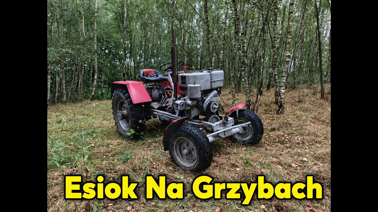 Wyprawa Esiokiem Do Starego Lasu/Es 15 Andoria Podczas Pracy