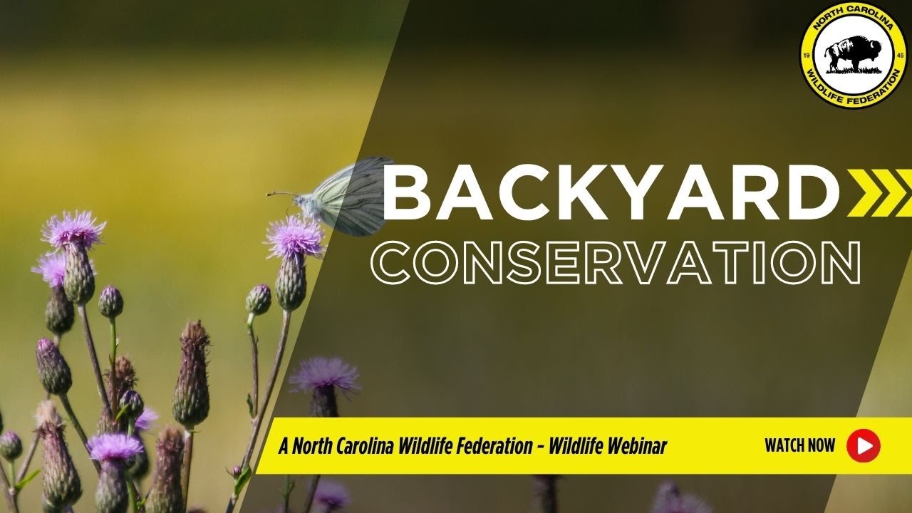 Backyard Conservation - North Carolina Wildlife Federation