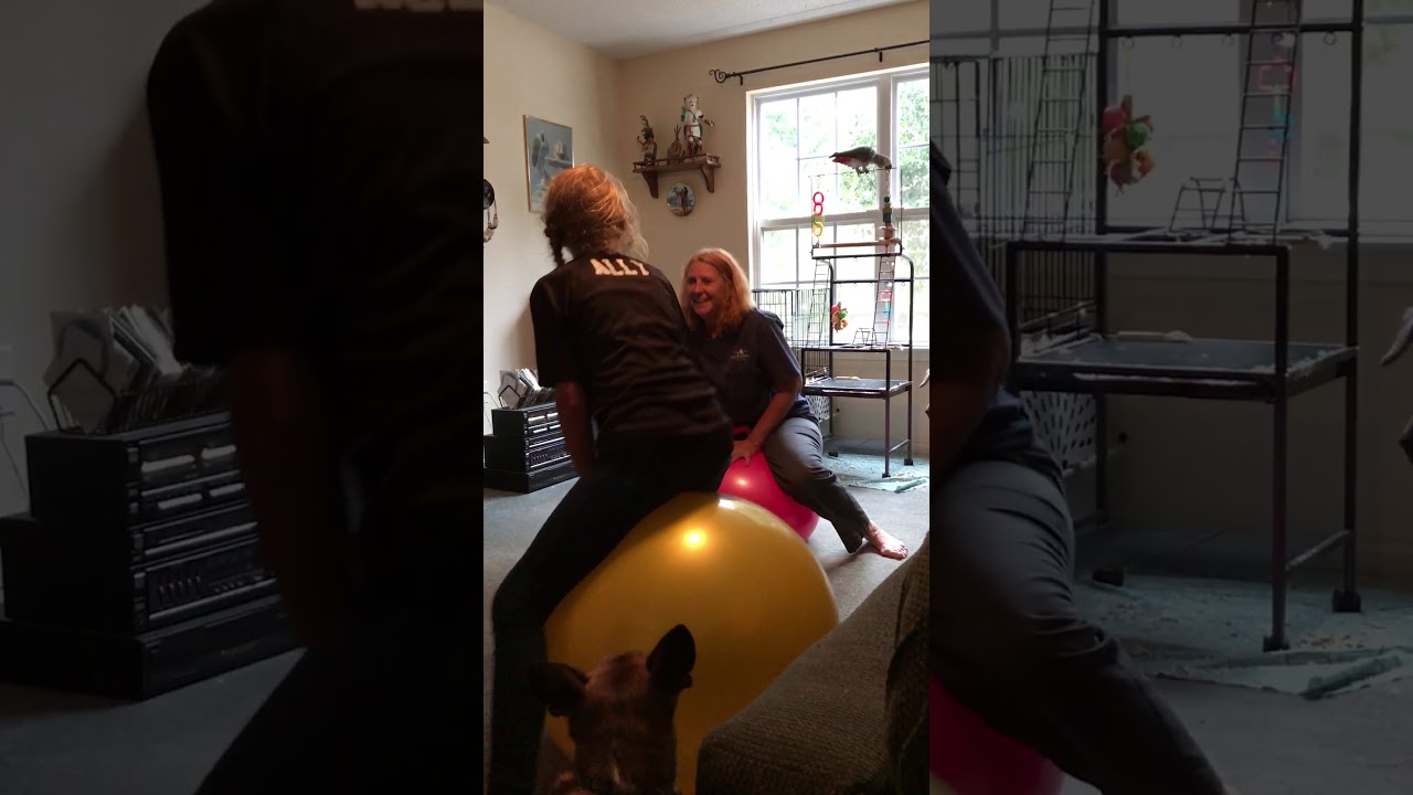 Bouncy balls are always fun and great exercise !