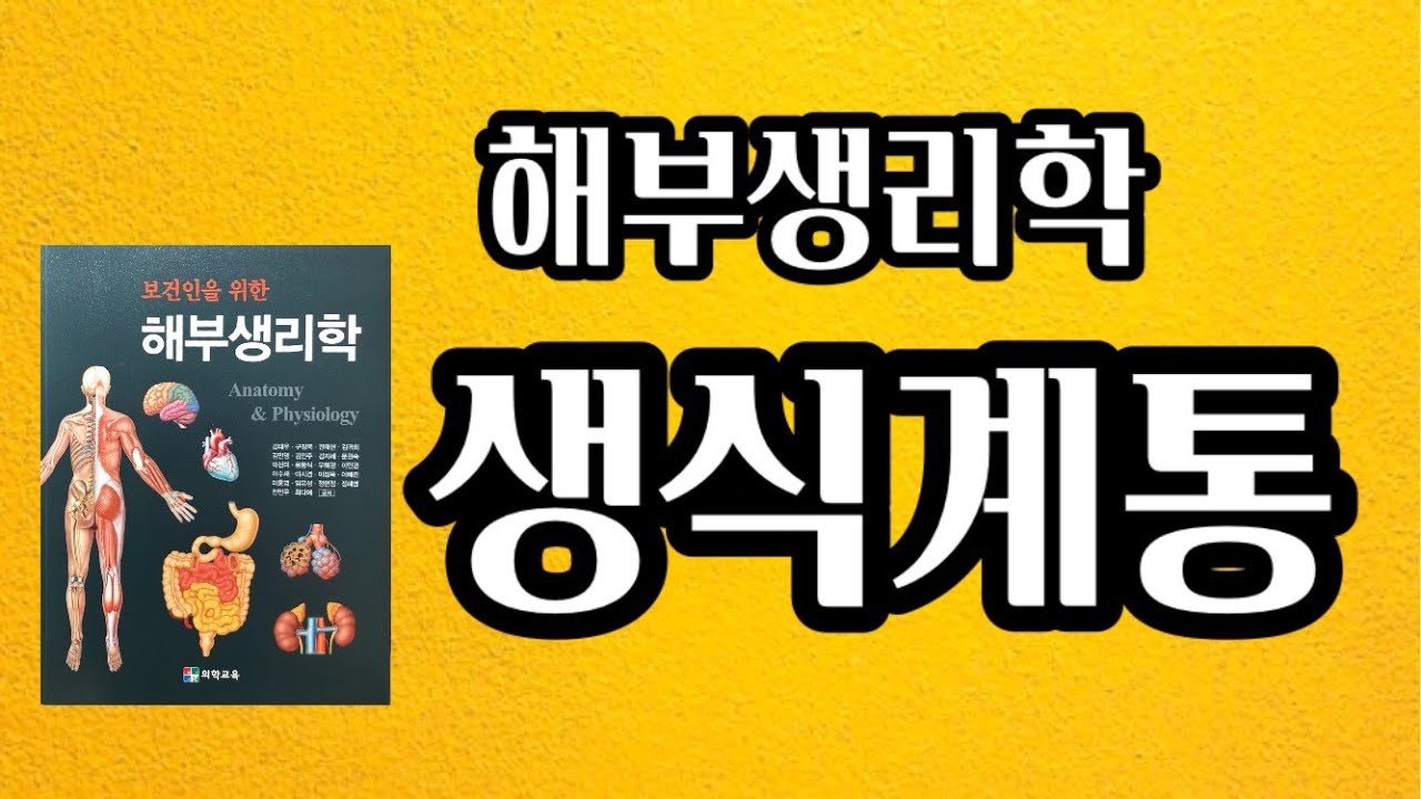 [해부생리학] 여성, 남성 생식계통