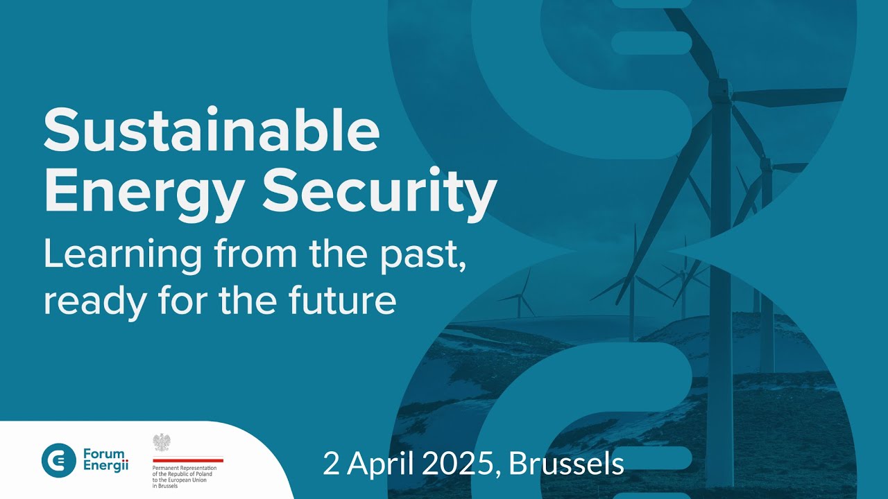 Sustainable Energy Security. Learning from the past, ready for the future