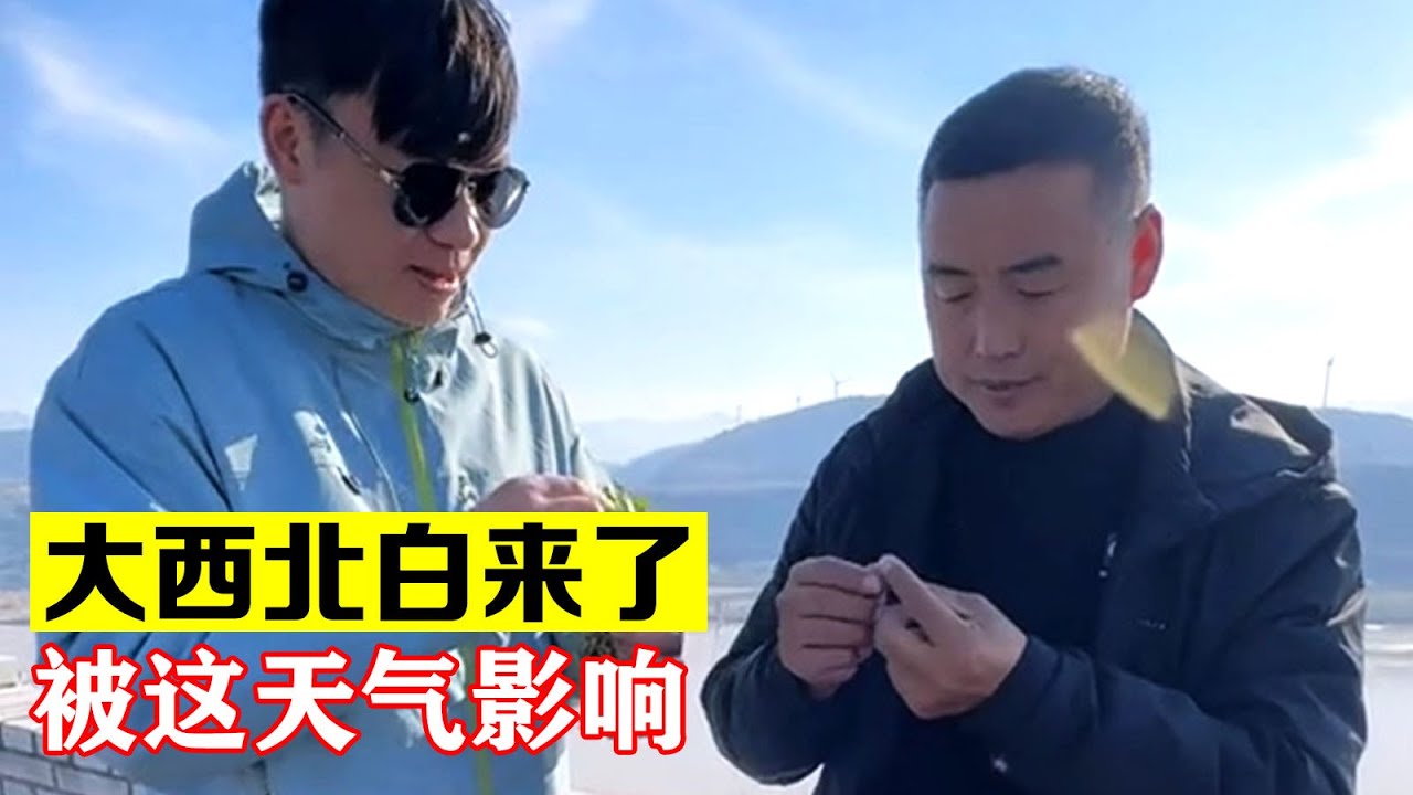 这次大西北是白来了，万万没有想到被这天气影响了【海派大龙】#海派大龙 #三农 #相亲