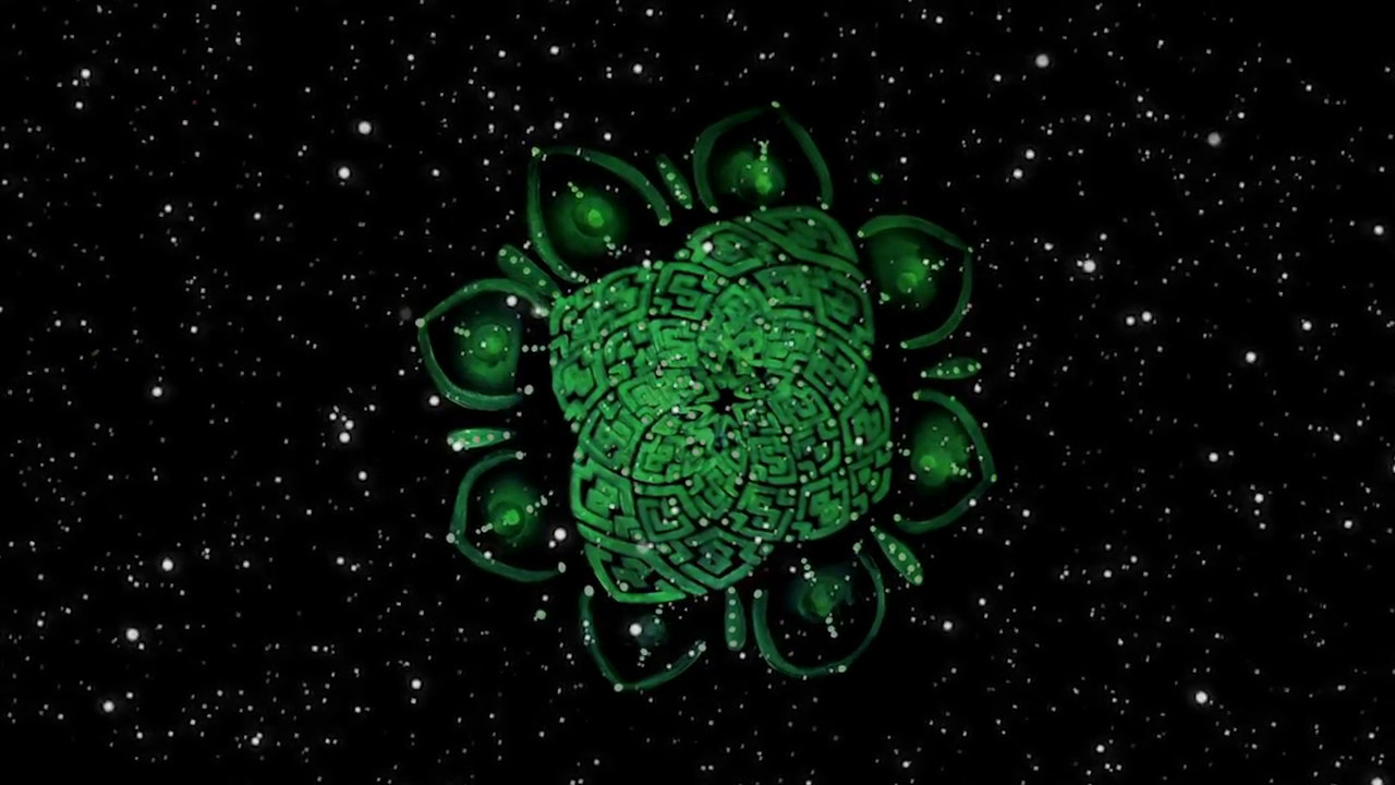 SOMOS POLVO DE ESTRELLAS