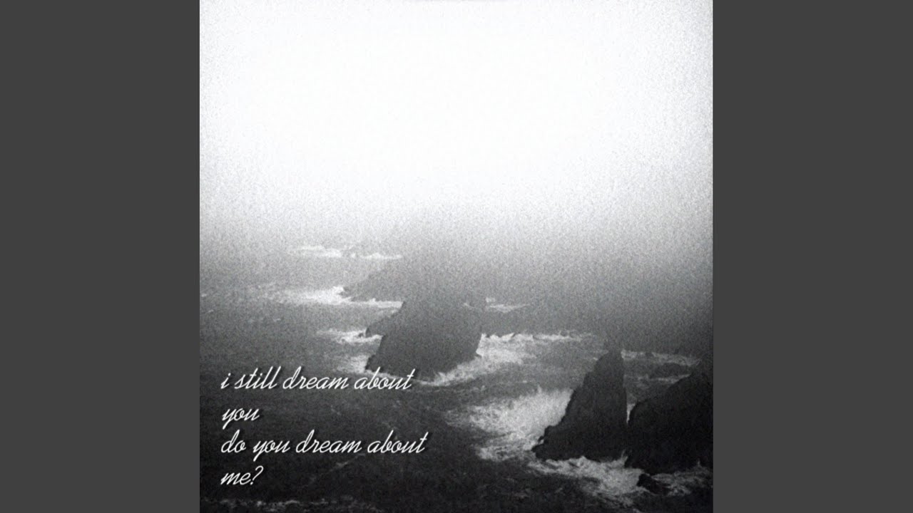 i dream about you*