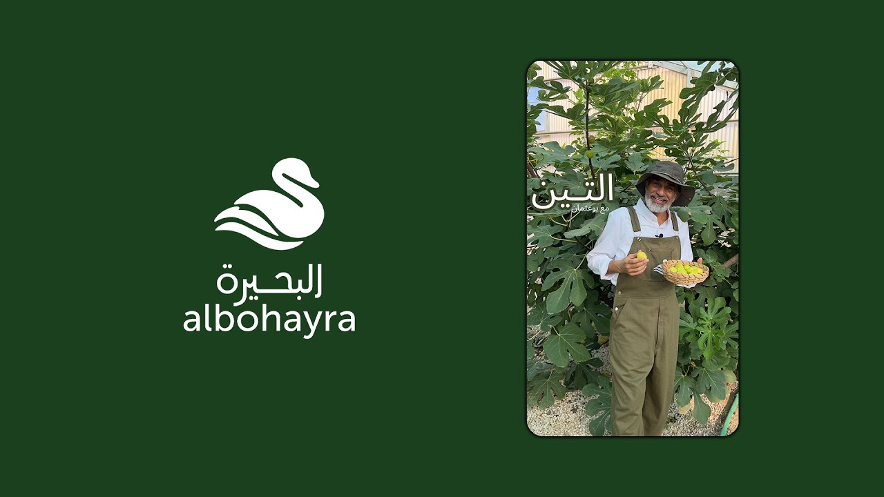 التين • مع بوعثمان 🌿👨🏼‍🌾