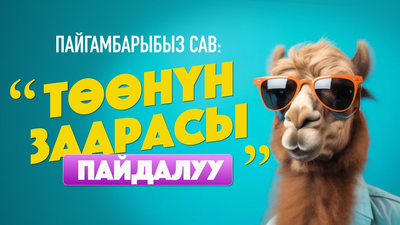 Мусулмандар төөнүн заарасын ичеби?