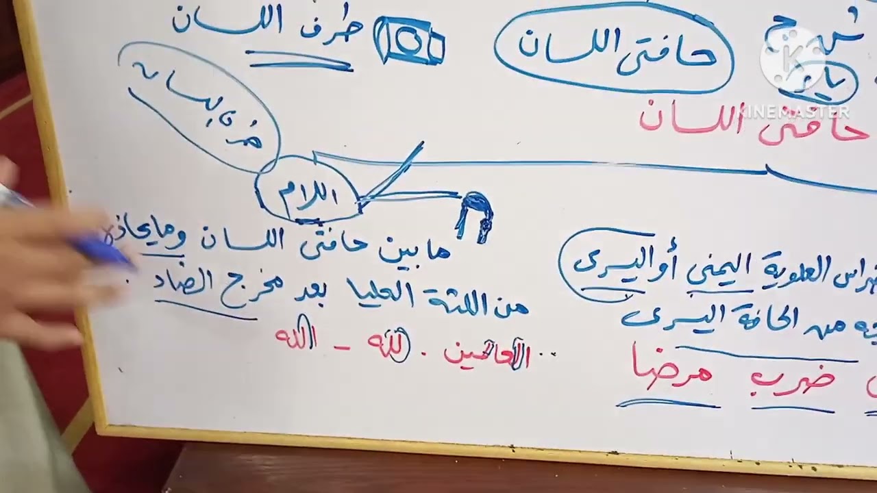 الدرس 👈 ( ٤٢ ) من دروس التجويد الميسر للمبتدئين 🥀 مخارج الحروف 👈 مخرج حافتى اللسان 🥀