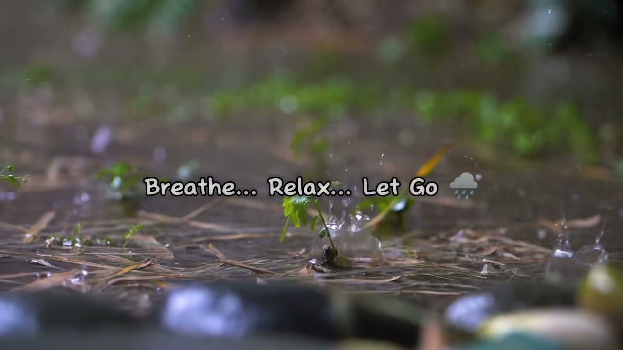 Rain Meditation Ambience 🌧️ | Deep Sleep, Relaxing Rain Sounds, Stress Relief, Study 