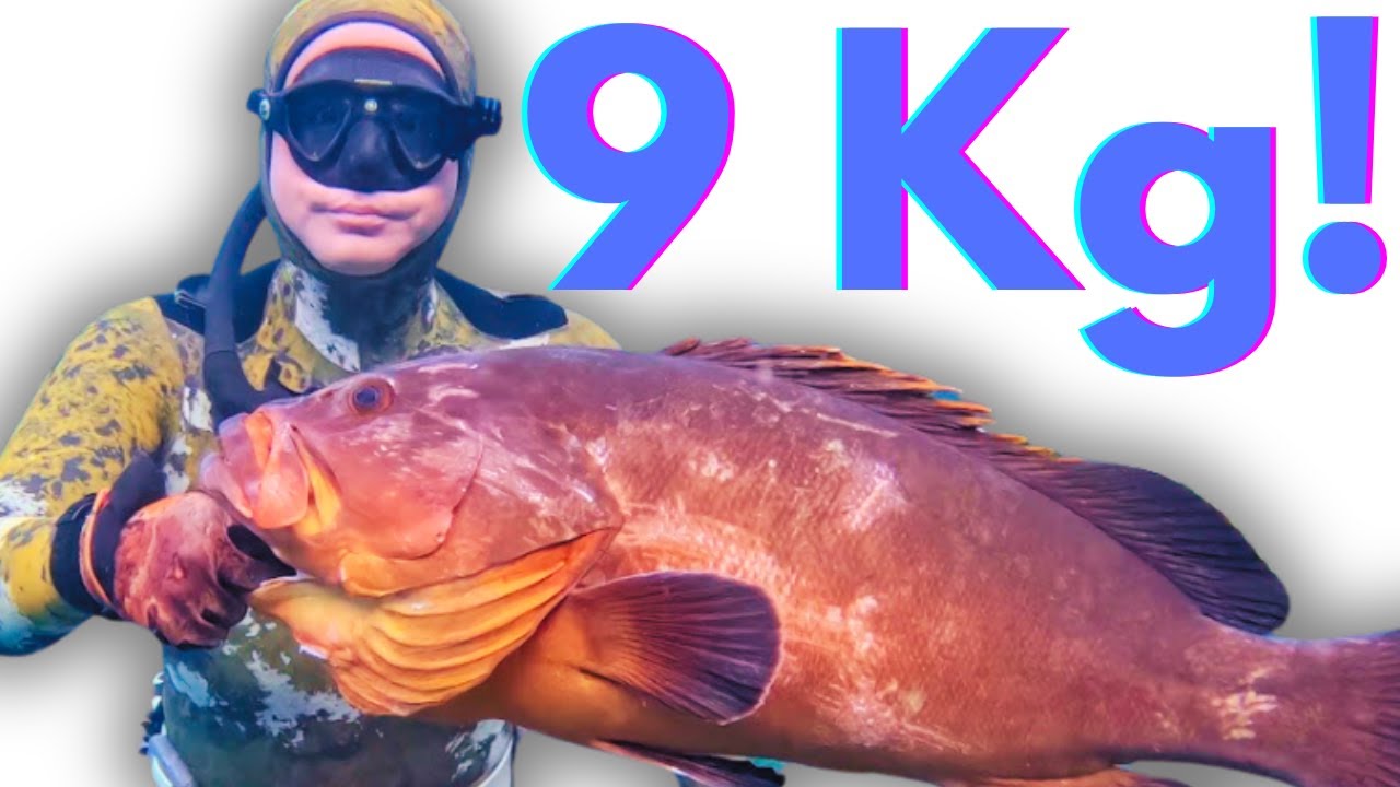 Dream Catch! 9kg Dusky Grouper Spearfishing Just 1 Hour from Athens!
