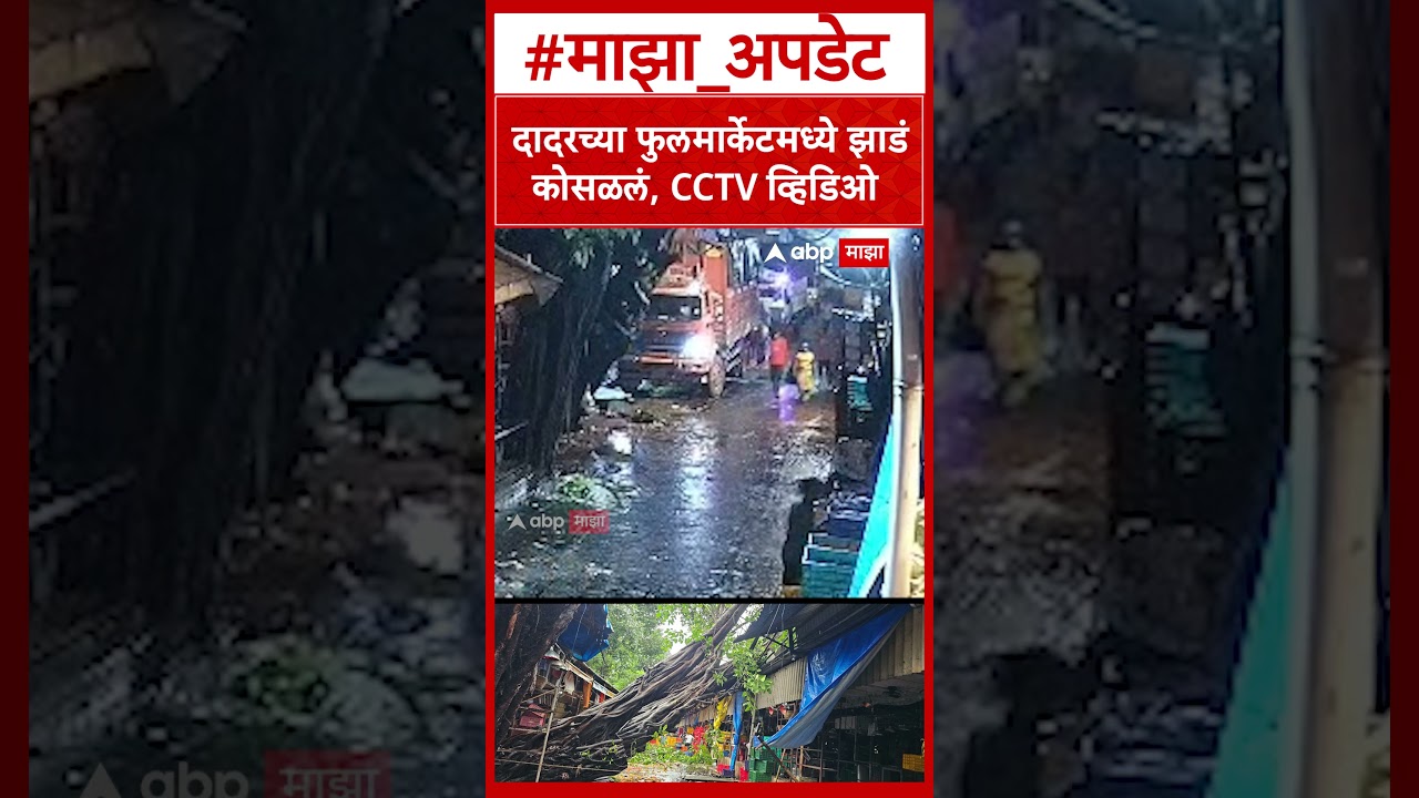 Dadar Fulmarket Tree Fall : दादरच्या फुलमार्केटमध्ये झाडं कोसळलं, CCTV व्हिडिओ