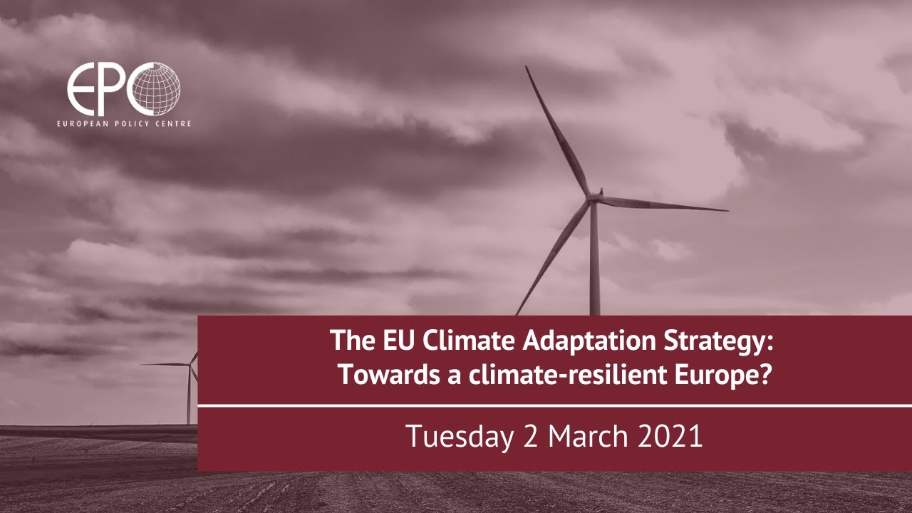 The EU Climate Adaptation Strategy: Towards a climate-resilient Europe?