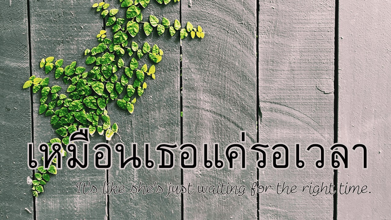 เหมือนเธอแค่รอเวลา