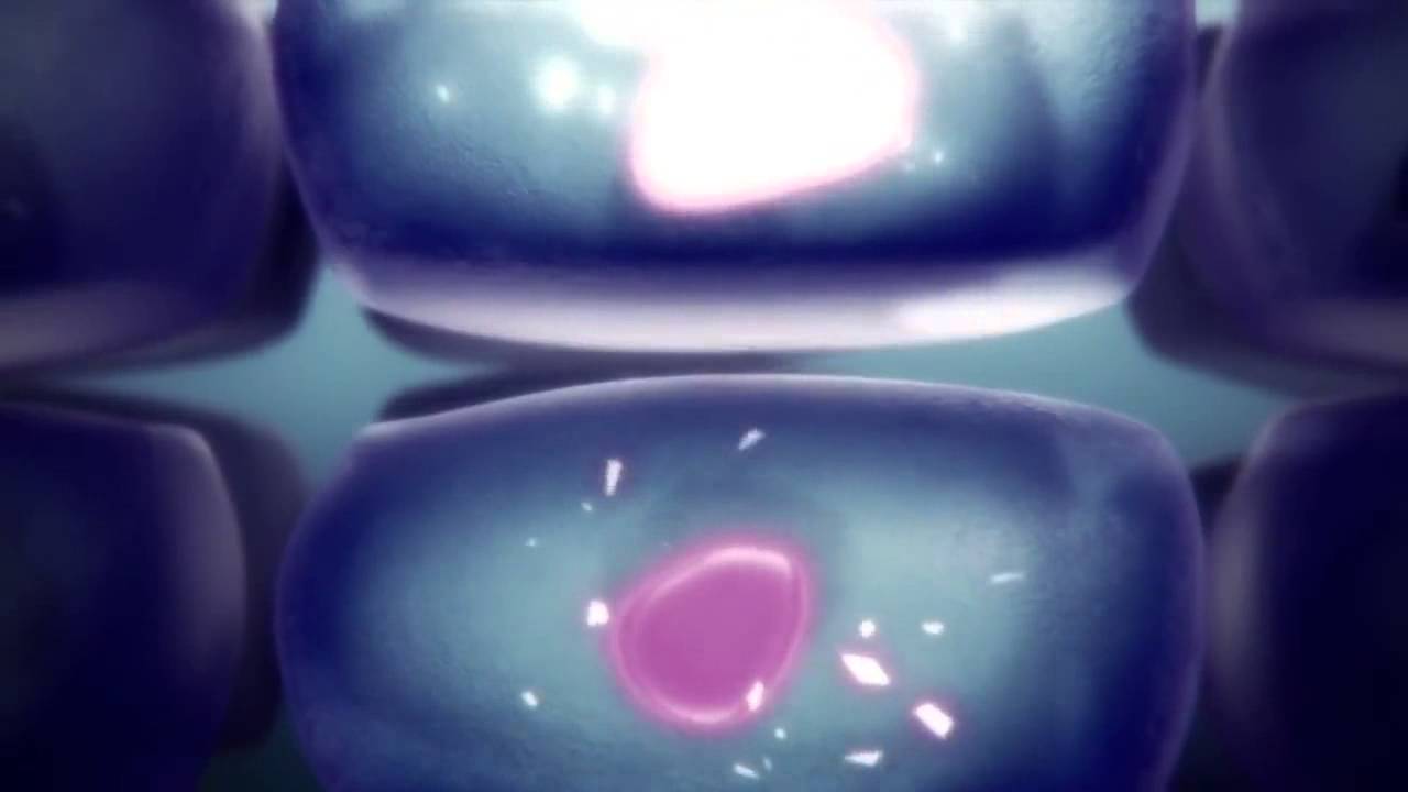 SHISHEIDO WHITE LUCENT