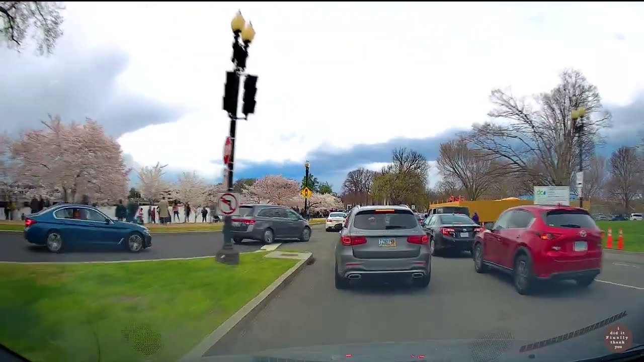 [4K] 30 minute Time Warp - Virtual Drive - Fredericksburg Virginia to Washington DC Cherry Blossom