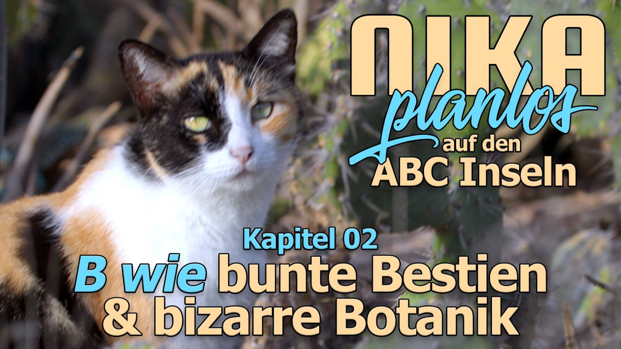 Nika Planlos '26 - 02 - B wie 