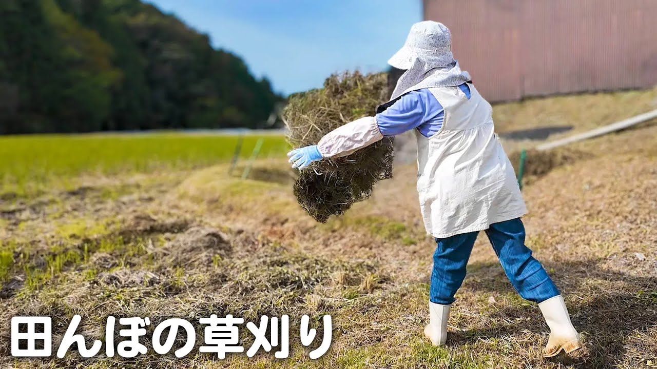今回は夫婦で田んぼ周りの草刈り！乾いた草を田んぼに撒いてきました｜田舎暮らしVlog【山口県】