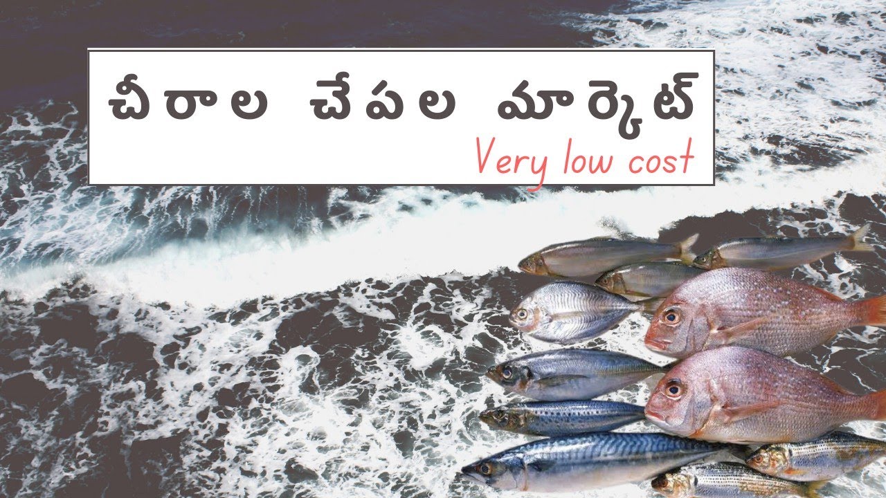 Chirala fish 🐟🐟 market very low cost ❤️❤️